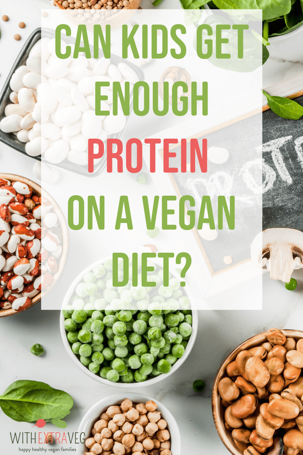 Can Vegan Kids Get Enough Protein on a Vegan Diet? - WithExtraVeg